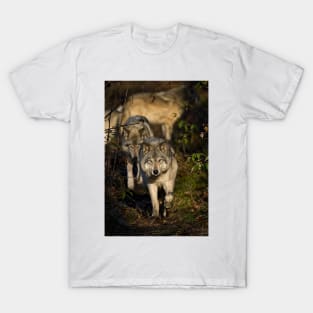 Timber Wolf T-Shirt